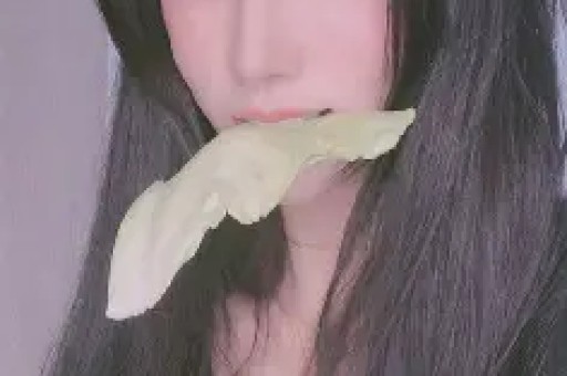 网红黄饱饱了一日店长被指割韭菜 消费门槛引发争议