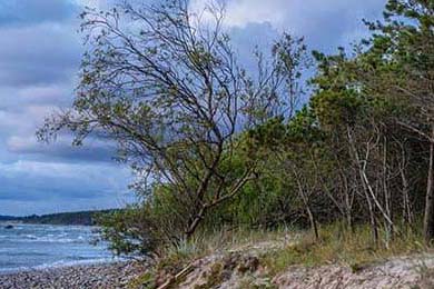 救灾宣传照翻车事件背后重大灾难中公共形象管理如何避免信任危机？